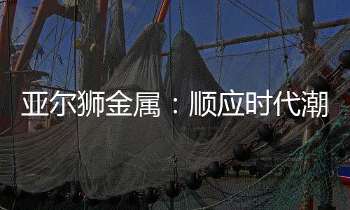 广阔铝的密度小