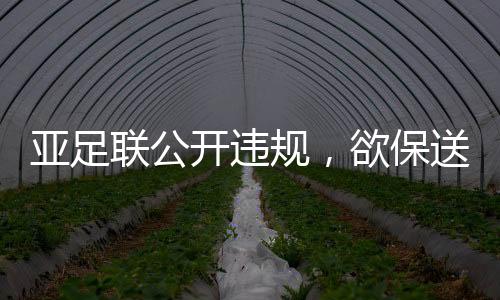 他们将上告国际足联