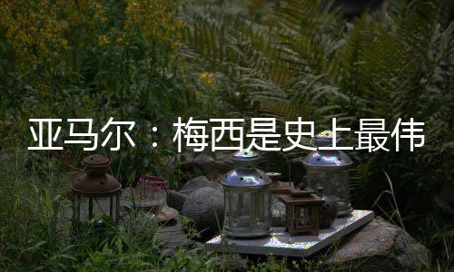 亚马我只想走自己的尔梅路