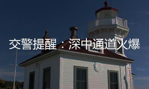 期停避免因扎堆打卡引起拥堵