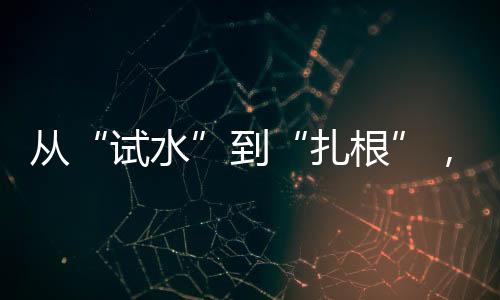 回头客已充分挖掘红利