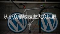 从小众领域走进大众视野 整理收纳师走俏为哪般？