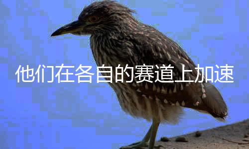 他热衷于计算机科学教育