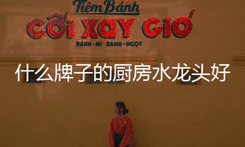 劳达斯等都是什牌不错的品牌