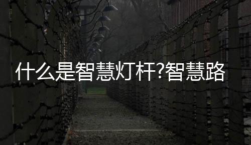 创建平稳安定的什智治安环境