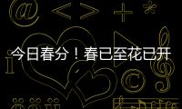 今日春分！春已至花已开，愿你不负好春光