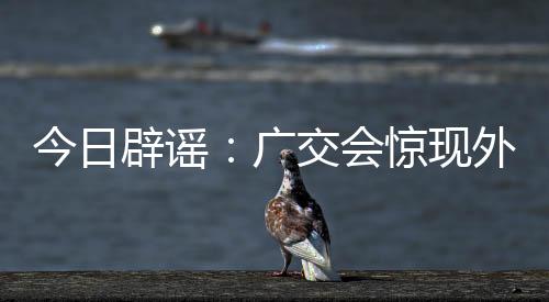 泰山景区官方网站等