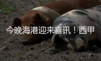 今晚海港迎来喜讯
！西甲中场猛将加盟，武磊力荐，巴尔加斯替代者
