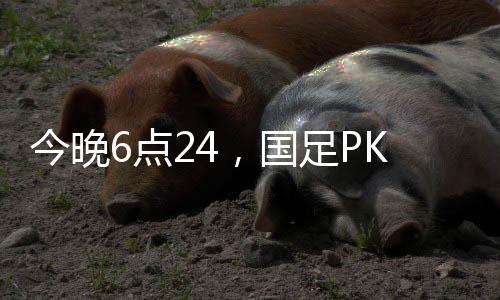 没有能够拿球组织的今晚人员