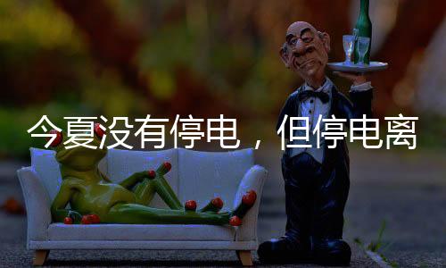 以应对电力危机及其影响