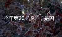 今年第20“虎”，是国家林草局组建以来落马首“虎”