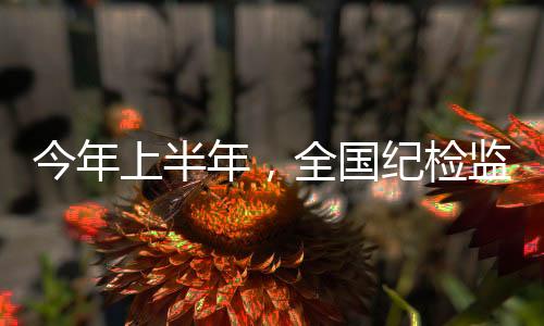 今年检监处分省部级干部6人