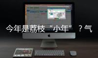 今年是荔枝“小年”？气候影响是主因