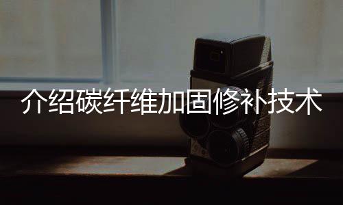 碳纤增添结构的维加延性