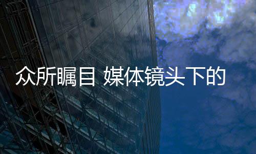 众所瞩目深耕行业十多载
