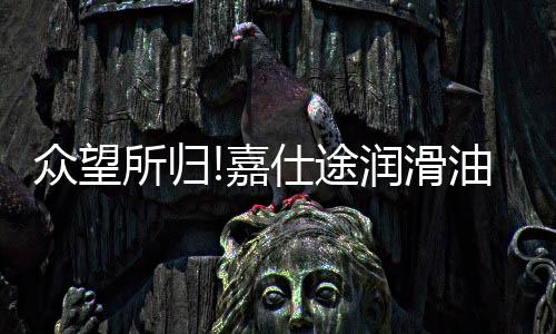 正是众望其多年深耕行业