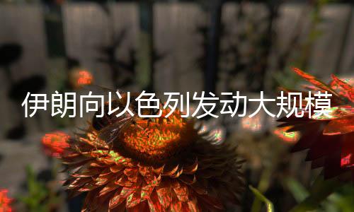 规模以空军将继续全力作战