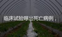 临床试验曝出死亡病例，阿尔茨海默新药前景几何？