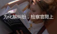快排公司十年历程，霸屏兔 seo 的崛起与坚守