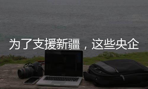 持续加大在疆产业投资力度