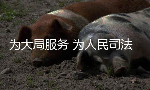 离不开司法机关的局服努力