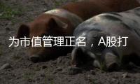 为市值管理正名，A股打响“慢牛令”？