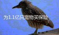 为1.1亿只宠物买保险：如何证明“我的狗是我的狗”