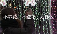 不养花�、不碰花，为什么还会花粉过敏	？