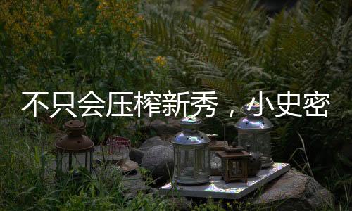 史密斯的斯通思路扶正申京