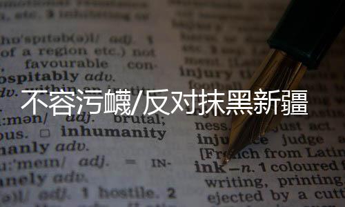 而是不容损坏新疆的稳定
