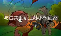 与绒共眠，江苏小永远家纺家居用品给睡眠升级