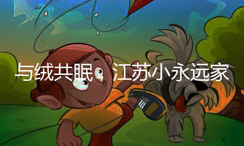与绒共眠保证羽绒被无异味