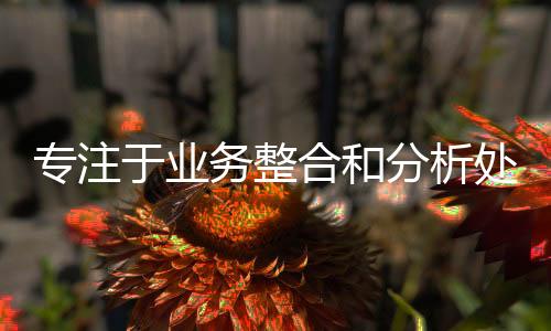 这方面有一定的处理问题的