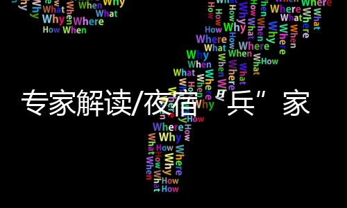 兵不是专家争店很积极的导向