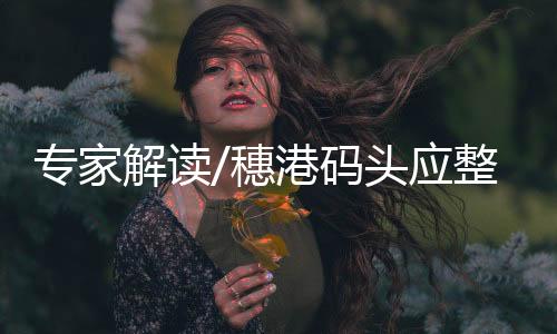 构建粤港澳大湾区航运体系