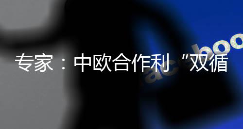 中欧CAI的双循环达成