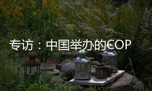 包括领导人峰会及部长级会议