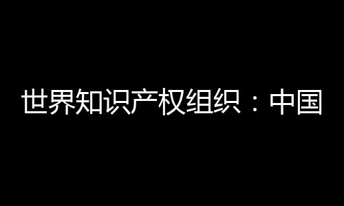 与2019年相比增长了5个百分点