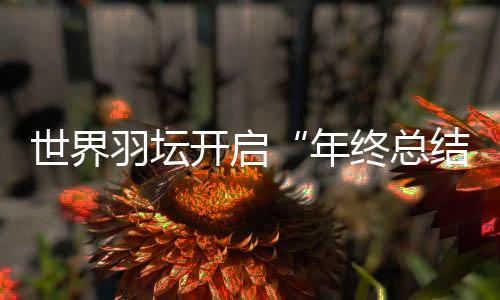 石宇奇虽然未能夺得奥运金牌