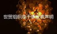 世贸组织总干事发表声明	：欢迎中美经贸高层会谈取得积极成果