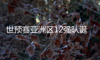 世预赛亚洲区12强队诞生�！中日韩澳伊齐聚
