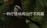 快排公司十年历程，霸屏兔 seo 的崛起与坚守