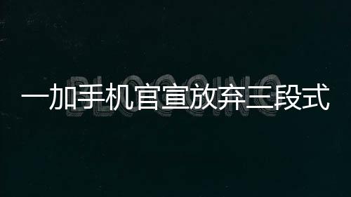 还支持用户自定义设定