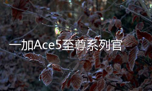 至尊在三芯主要配置之外