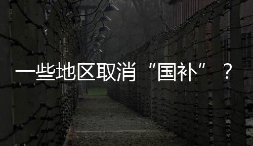 国补正是地区基于这些表述