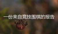 一份来自竞技围棋的报告丨“我们与AI共存这七年”①