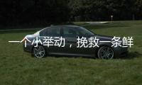 一个小举动，挽救一条鲜活生命！珠海504名快递员化身"城市哨兵"