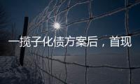 一揽子化债方案后，首现城投“统借统还”案例