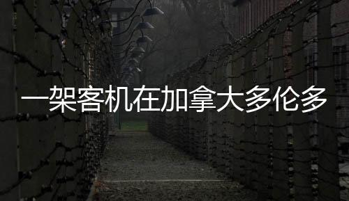 据加拿大媒体17日报道