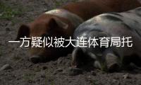 快排公司十年历程，霸屏兔 seo 的崛起与坚守